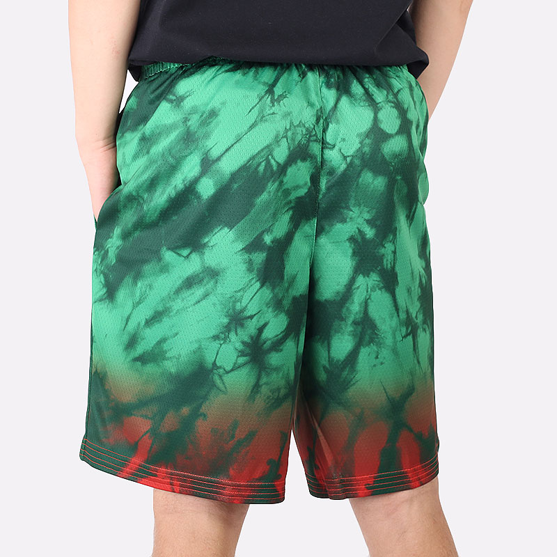 Мужские шорты Nike Team Lithuania Limited Edition Road Shorts (CQ0193-341)  - цена, описание, фото 4